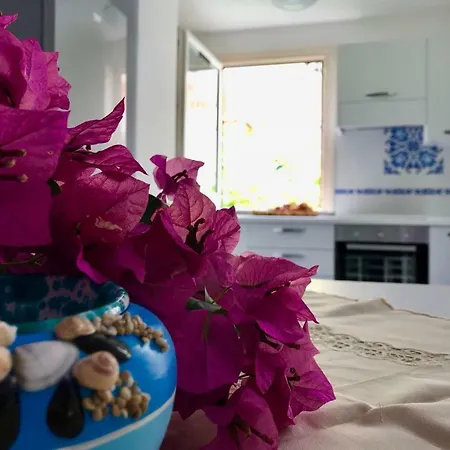 Casetta Del Pescatore Ischia