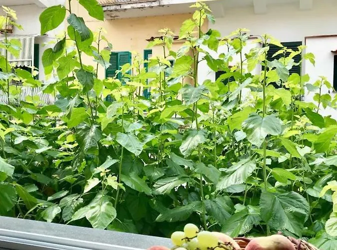 Casetta Del Pescatore *